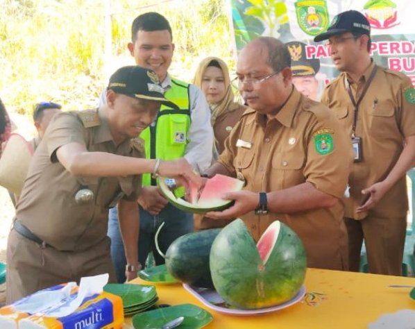 Petani di Bengalon Hasilkan Rp 200 Juta Selama 3 Bulan