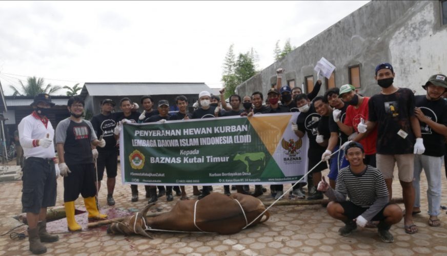 DPD LDII Kutim Sembelih 208 Hewan Qurban