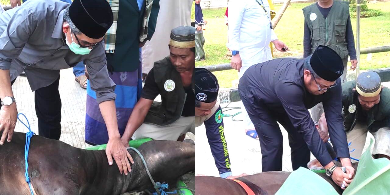 Idul Adha 2022, Bupati Kutim dan Wabup Saksikan Penyembelihan Hewan Qurban Masjid Agung Al Faruq