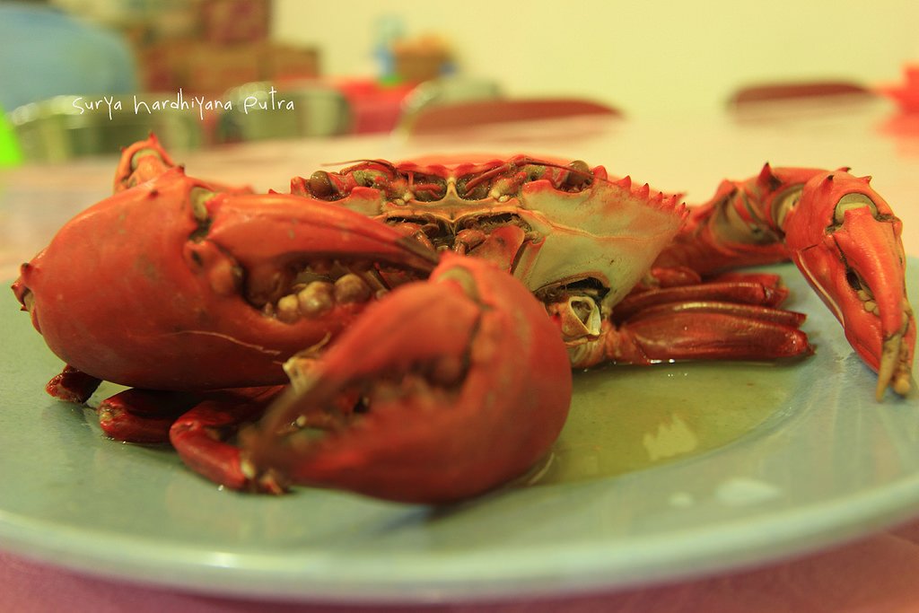 Kuliner Balikpapan,  Sajikan Beragam Menu Kepiting Dengan Rasa Yang Lezat!